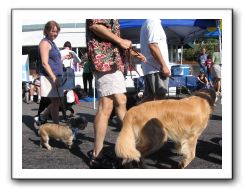 IMG_0021